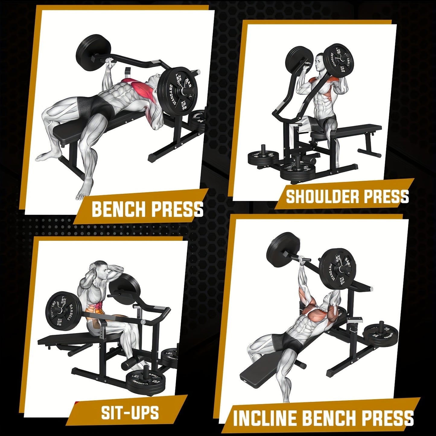 1250LBS Heavy-Duty Chest Press Machine - Adjustable Independent Converging Arms, Multi-Angle Flat Incline Fitness Bench for Home Gym Workouts, Space-Saving Design, Ergonomic Seat and Backrest