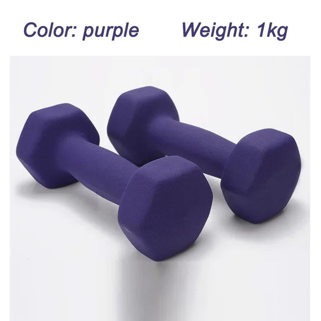 1kg women's dumbbell professional bones home fitness sports equipment weight loss multicolour plastic dip